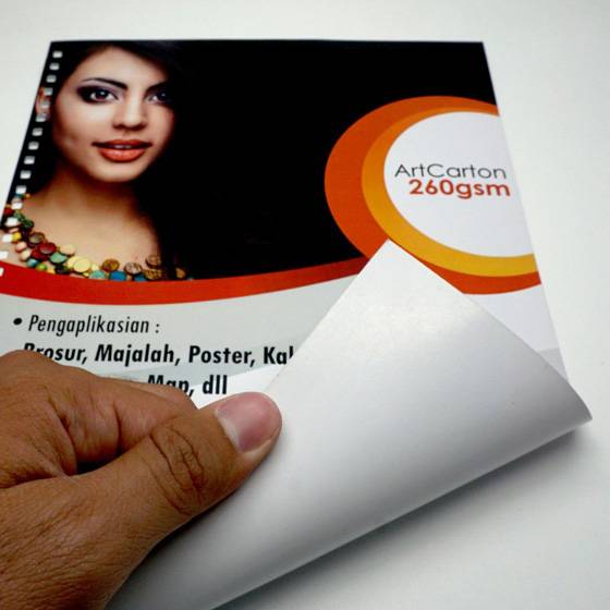 Art Carton 260 gsm A3 Plus 32 x 48 cm